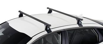 CRUZ Oplus ST (2x)